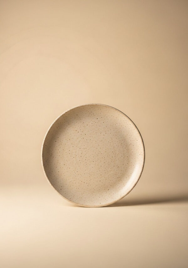 Harborstone Dinner Plate